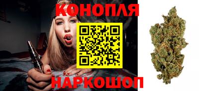 мдпв Вышний Волочёк