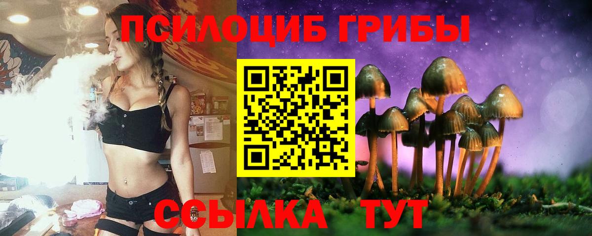 Галлюциногенные грибы GOLDEN TEACHER  Галлюциногенные грибы Magic Shrooms  что такое наркотик  Вход с VPN  Домодедово 